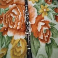 Clarinetto Sib Yamaha 450 N