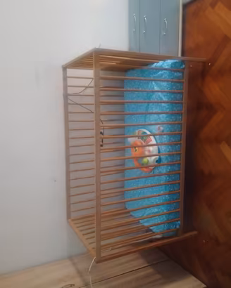 lettino