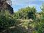 Immagine 7