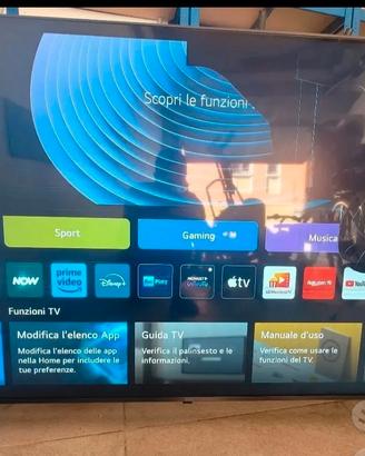 tv LG 65 pollici SCHERMO ROTTO