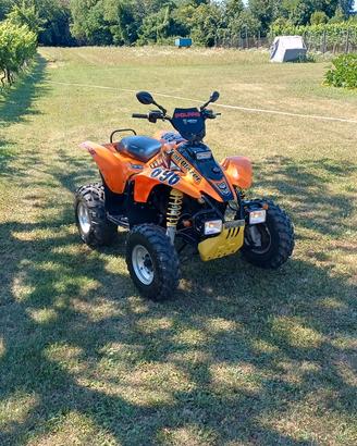 Quad Polaris 250