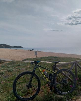 Cannondale fsi carbon taglia S.