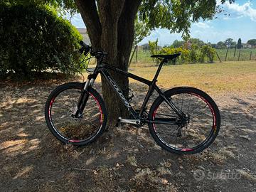 Mountainbike in carbonio