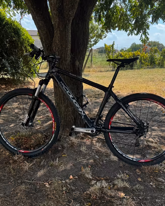 Mountainbike in carbonio