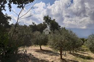 TER. RESIDENZIALE A MONTESARCHIO