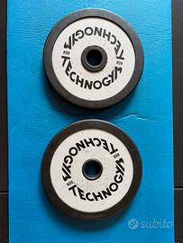 2 Dischi technogym 25kg gommati