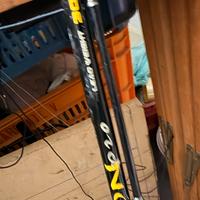 Canna da pesca Colmic Ghemon