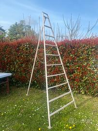 Scala da potatura 3 e 4 metri