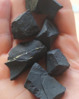 Shungite naturale non trattata 