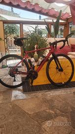 Bicicletta Wilier Triestina