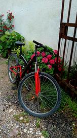 bicicletta