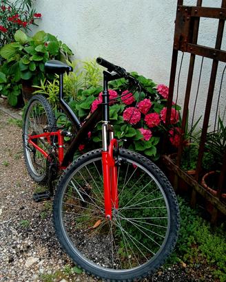 bicicletta