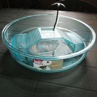 Piscina per tartarughe