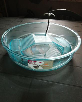 Piscina per tartarughe