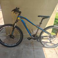 Bici MTB 