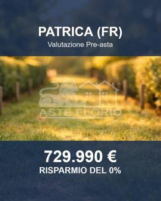 Immobile in asta di 63513 m² a Patrica