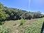 Immagine 25