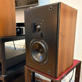 Acoustical RS3i
