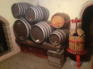 Botti di castagno e rovere + 2 torchi e raspatrice