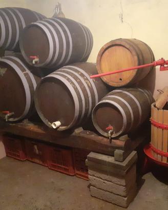 Botti di castagno e rovere + 2 torchi e raspatrice