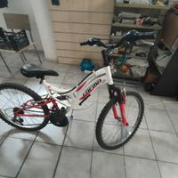 bici 24 