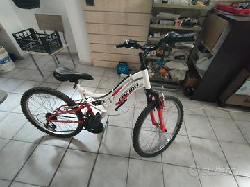 bici 24 