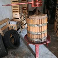 Torchio per uva usato