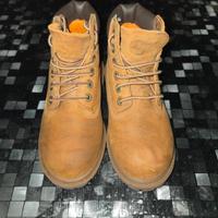 Scarponcini Timberland Premium 6