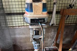 Motore fuori bordo 25 cv evinrude