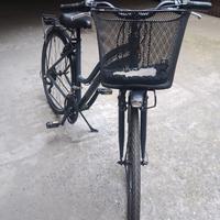 Bici da donna con cambio e ammortizzatori anterior