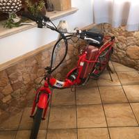 Bicicletta elettrica