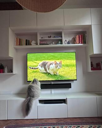 Ikea ante Besta