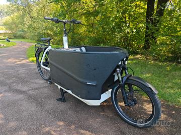 Bici Cargo x Bambini