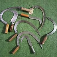 Set di 8 falcetti antichi della civiltà contadina