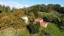 azienda-agricola-a-capannori