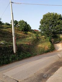 terreno