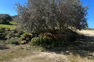 Terreno - Caltanissetta