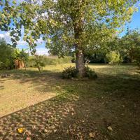 Terreno agricolo con pollaio