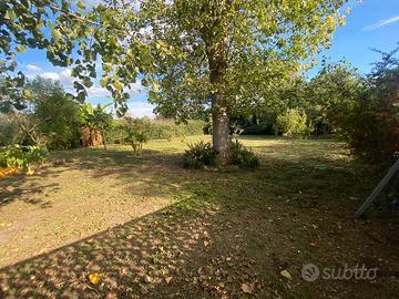 Terreno agricolo con pollaio
