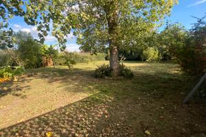 Terreno agricolo con pollaio