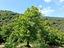 Immagine 25