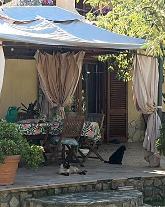 gazebo