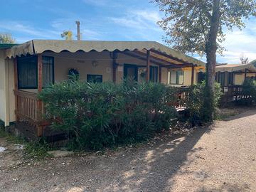 Casa mobile al Camping Paradiso Viareggo