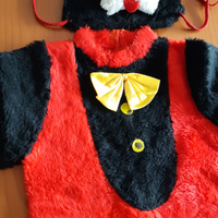 Vestito di carnevale bimbo