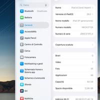 Ipad 9 generazione, 64 gb con custodia. Perfetto