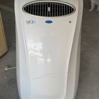 Condizionatore Igloo carrier