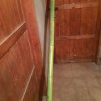 canne in bambu