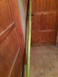 canne in bambu