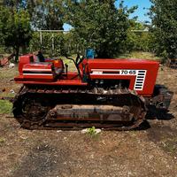 Trattore Cingolato Fiat 70-65