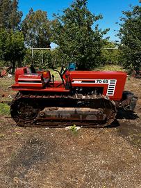 Trattore Cingolato Fiat 70-65